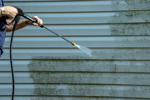 Best Solar Panel Cleaning  in Inverness, FL